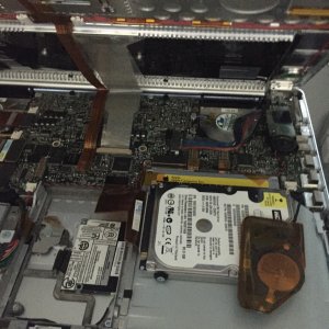 ImageUploadedByTapatalk1449523128.188940.jpg
