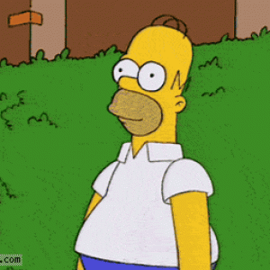 1319738930_homer_simpson_hides_in_hedge.gif