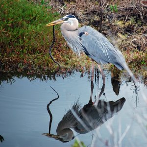 DSC_0034.JPG