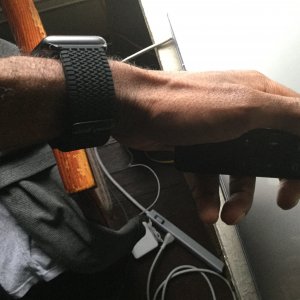 image.jpeg