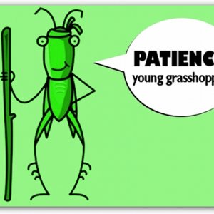 patience-young-grasshopper[1].jpg