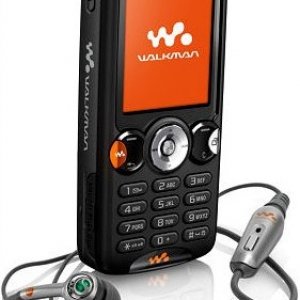 w810-1.jpg