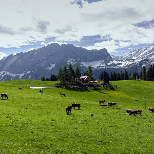Farm-2000px.jpg