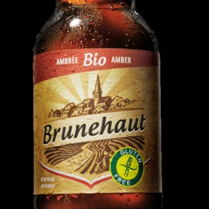 brunehaut_amber_bd_small.jpg