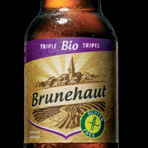 brunehaut_triple_bd_small.jpg