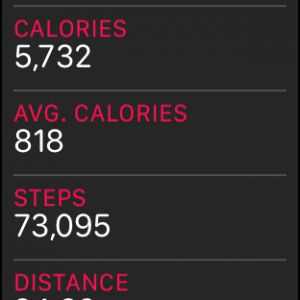 STEPS.PNG