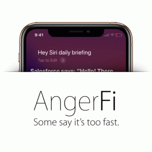 angerfi.gif