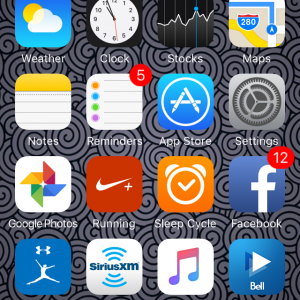 IMG_0229.PNG