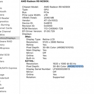 Screen Shot 16.png