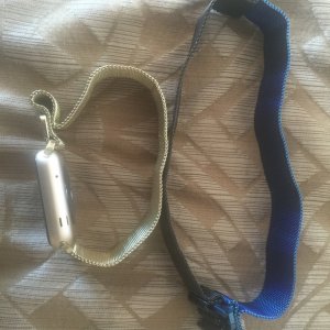 image.jpeg