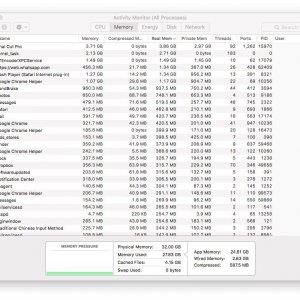 27.8G RAM usage.jpg
