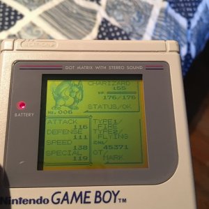 image.jpeg