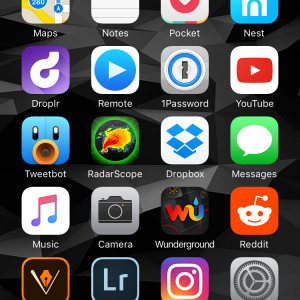 IMG_2309.PNG