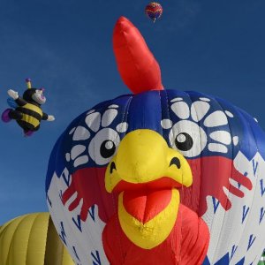 001422373e19126f18f526[1].jpg