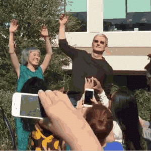 giphy-2.gif