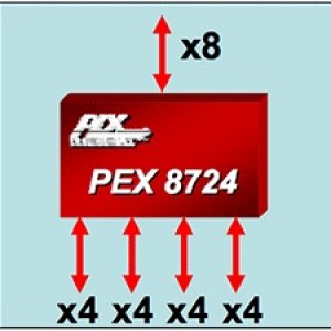 pex8724.jpg