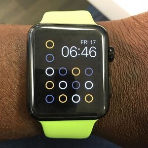 lime or green.jpg