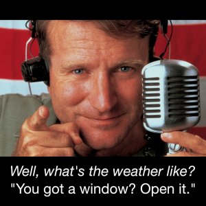 Roosevelt E Roosevelt - Weather Report.jpg