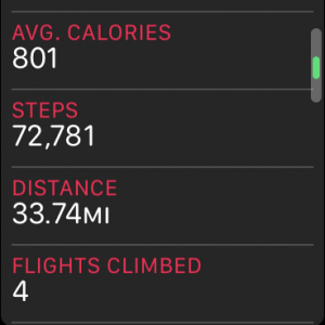 steps.PNG
