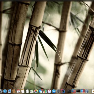 Screen Shot 2018-12-05 at 12.15.17.jpg