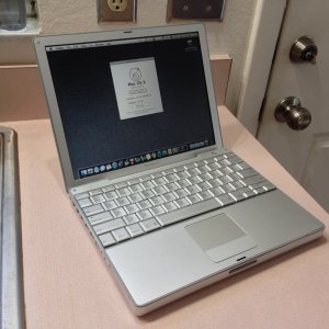 image.jpeg
