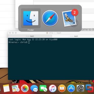 dock-bug-screenshot.jpeg