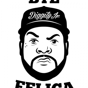 felica.png