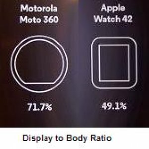 display-body-ratio2.jpg