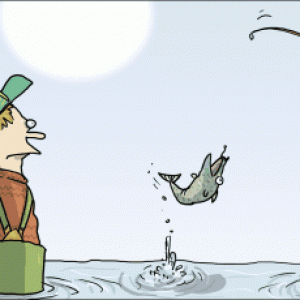 image.gif