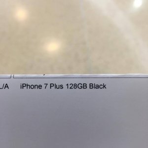 14274447_10158086646645377_1962265801_o.jpg