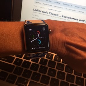 newstrap3.JPG