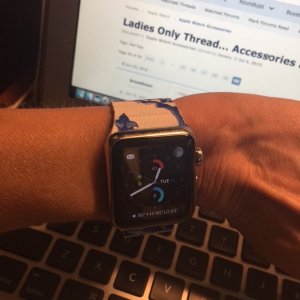 newstrap1.JPG