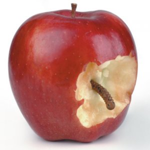 image.jpeg