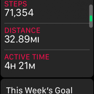 steps.PNG