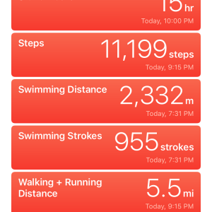IMG_5413.PNG