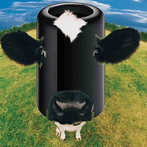 nMP Cow.png