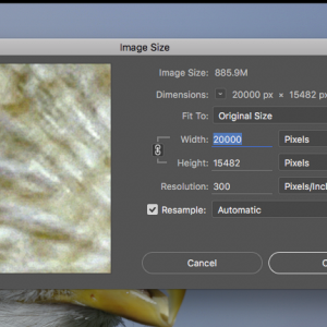 Screen Shot 2016-09-30 at 21.17.56.png