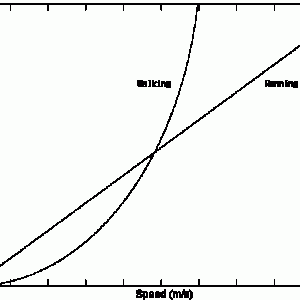 Running vs. Walking Efficiency.gif