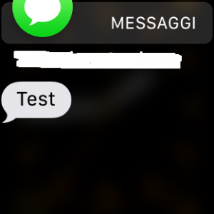IMG_2549 SMS.png