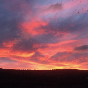 IMG_4928.jpg