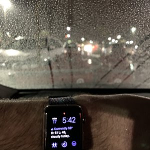 8C07F4C2-5EDA-47E5-851D-AF9D4FDE3178.jpeg