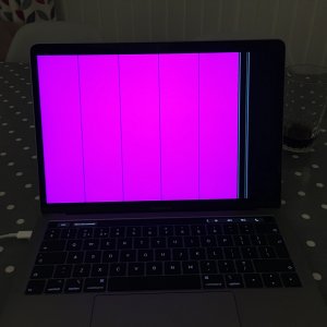 F49E4C12-CCC9-4E1B-8550-E7B3C97E5358.jpeg