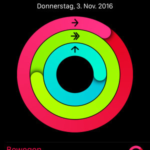 IMG_5439.PNG