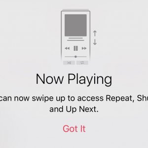 IMG_2033.jpg