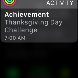 IMG_1765.PNG