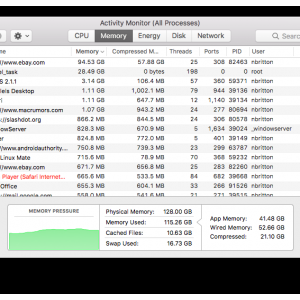 Safari Memory Leak.png