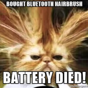 Bad Hair Cat.png