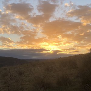 IMG_4951.jpg