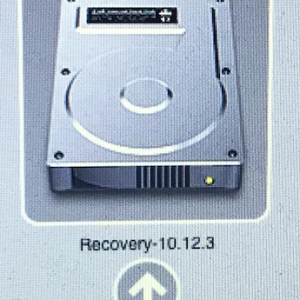 10.12.3recovery.png