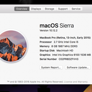 Screen Shot 2017-01-25 at 10.59.56 AM.png